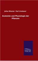 Anatomie und Physiologie der Pflanzen