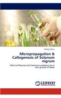 Micropropagation & Callogenesis of Solanum Nigrum