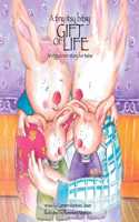 tiny itsy bitsy gift of life, an egg donor story for twins