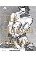 Human Figure