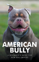 American Bully