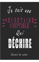 Je Suis une Secrétaire comptable qui Déchire Carnet de notes: Carnet de note de 120 pages pour les Secrétaire comptables cadeaux pour un ami, une amie, un collègue ou un collègue, quelqu'un de la famille
