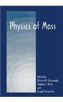 Physics of Mass