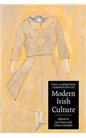 Cambridge Companion to Modern Irish Culture