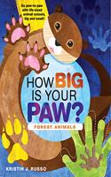 How Big Is Your Paw? Forest Animals