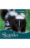 Skunks