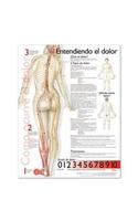 Understanding Pain Anatomical Chart in Spanish