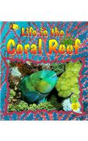 Life in the Coral Reef