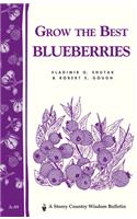 Grow the Best Blueberries