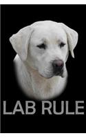 Labs Rule: Notebook Journal Diary 110 Lined pages