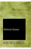 Biblical Essays