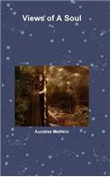 Views of A Soul: (English)