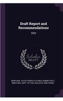 Draft Report and Recommendations