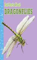 Fast Facts About Dragonflies