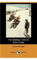 The Bobbsey Twins at Snow Lodge