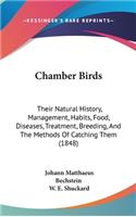 Chamber Birds
