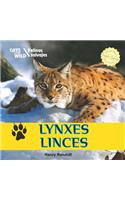 Lynxes / Linces