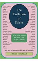 The Evolution of Spirits