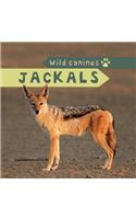 Jackals