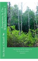 Footprints in the Wilderness Volume 1