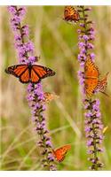 Monarch Butterflies with Purple Flowers Journal
