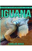 Iguana: Libro de imágenes asombrosas y datos curiosos sobre los Iguana para niños