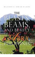 Beasts, Beams, and Beauty of Abra, Philippines