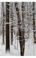 Winter Season Journal Pretty Woods