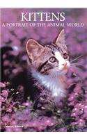 Kittens: A Portrait of the Animal World