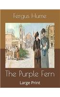The Purple Fern