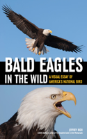 Bald Eagles in the Wild