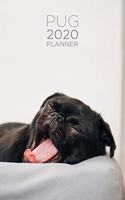 Pug Planner: 2020 diary: Increase productivity, improve time management, reach your goals: Sleepy pug: Modern artistic photography style cover design