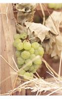 Autumn Grapes in the Vineyard Journal