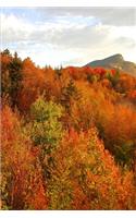 Fall 2020 Weekly Planner Beautiful Mountain Scene 134 Pages: 2020 Planners Calendars Organizers Datebooks Appointment Books Agendas