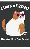 Class of 2020 the World in Our Paws.: College Ruled Composition Notebook for Seniors, Graduation Gift, Sassy Cat Wearing Sunglasses Bling, Lined Journal Blank Pages Homeschool Workbook f