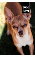 Chihuahua Dog Calendar Week Planner 2020 / 2021 - Very Tired: Pup Puppy Doggie Pet Owner Weekly Bullet Journal Notebook Diary in 6" x 9" Inch Pocket Size