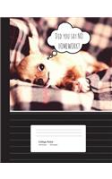 Chihuahua No Homework Composition Book College Ruled