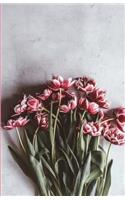 The Botanical Collection