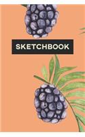 Sketchbook