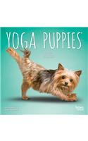 Yoga Puppies 2020 Mini 7x7