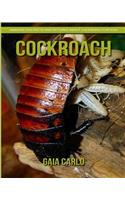 Cockroach