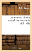 Les Moutons, Histoire Naturelle Et Zootechnie