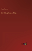 Blütenpflanzen Afrikas