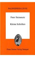 Peter Steinmetz