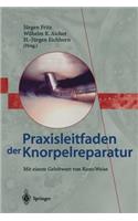 Praxisleitfaden Der Knorpelreparatur