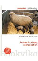 Domestic Sheep Reproduction