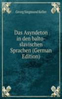 Das Asyndeton in den balto-slavischen Sprachen (German Edition)