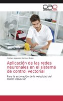 Aplicación de las redes neuronales en el sistema de control vectorial