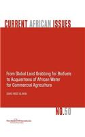 From Global Land Grabbing for Biofuels to Acquisitions of African Water for Commercial Agriculture