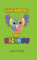 Little boo owl says rainbow